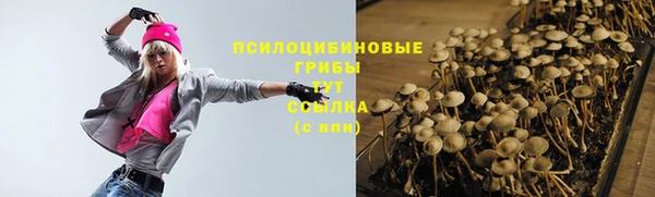стафф Михайловка