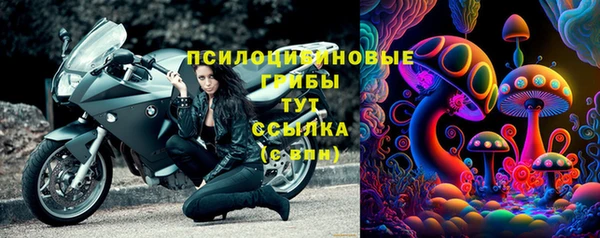 стафф Михайловка