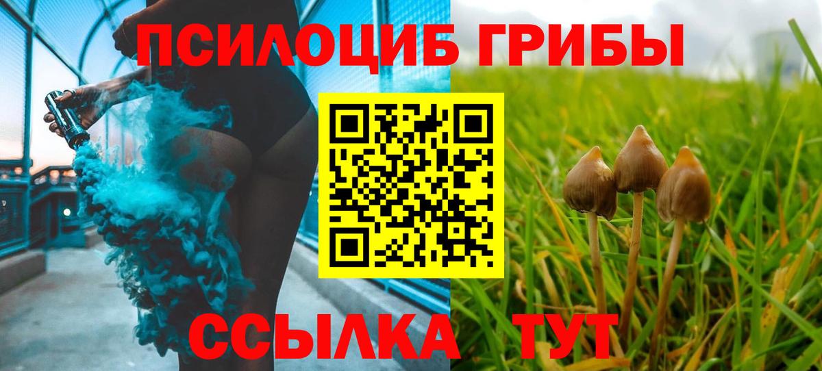 Псилоцибиновые грибы мицелий Канаш