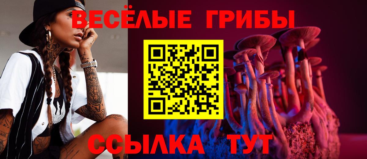 Псилоцибиновые грибы ЛСД  Галлюциногенные грибы Psilocybine cubensis  Канаш  Вход с VPN 