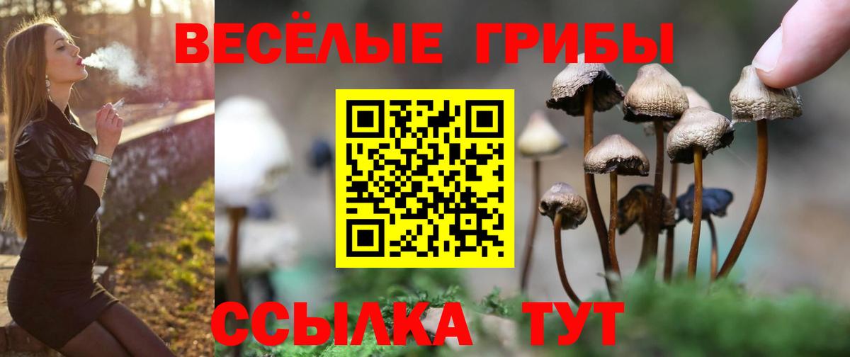 Псилоцибиновые грибы прущие грибы  Канаш 